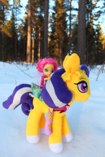 Fluttershy riding Daybreak
