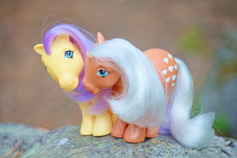 Macau Ponies