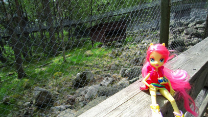 Fluttershy visiting Ranua Zoo #2