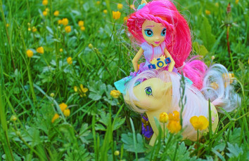 Posey and Fluttershy