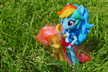 Shy Dash