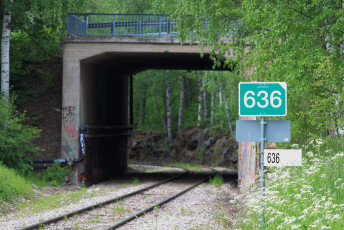 Railway tracks and a bridge