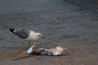 "It's Mine!"