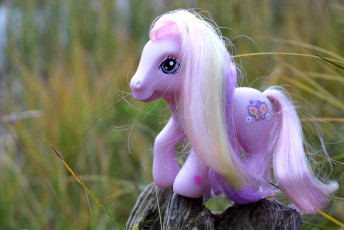Fluttershy on a Tree Stump