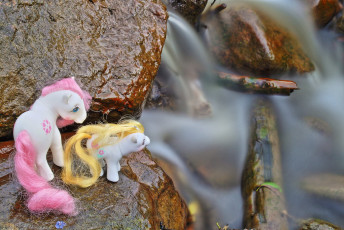 Mother and filly at the waterfall