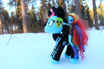 Rainbow Dash riding Nightfall