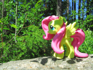 Fluttershy standing on a rock