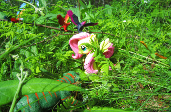 Fluttershy and Friends