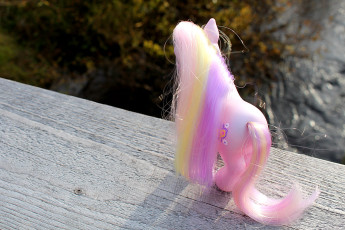 Fluttershy Looking at a River