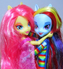 Fluttershy's and Rainbow Dash's Valentines Day #2