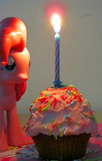 Celebrating my pony blog's first anniversary #1