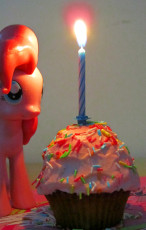 Celebrating my pony blog's first anniversary #1