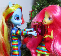 Present for Rainbow Dash