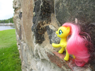 "New" Fluttershy at the Kajaani castle.