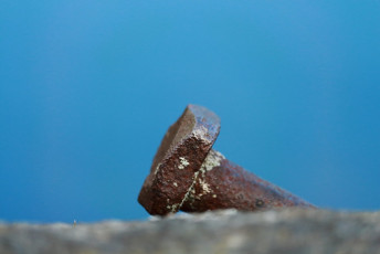 Bolt