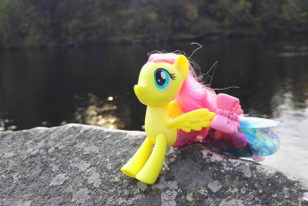 Mermaidshy on a Rock