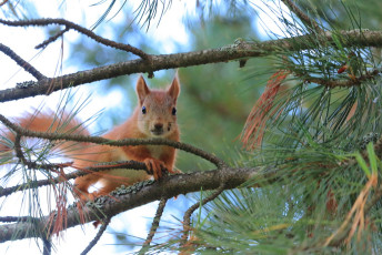 Are you looking at me?