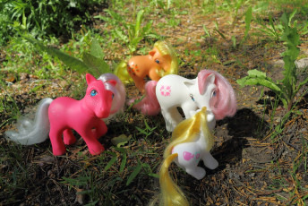 Ponies at summertime #2
