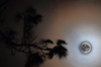 Moon on New Year's Eve 2017