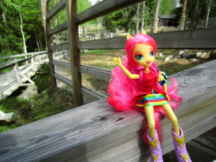 Fluttershy visiting Ranua Zoo #1