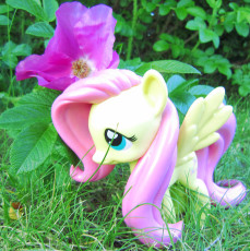 Fluttershy and a rose