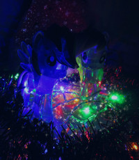 Raindow Dash and Derpy with Christmas Lights