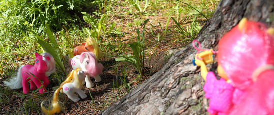 Photographing ponies