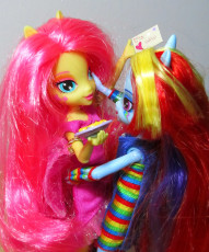 Fluttershy's and Rainbow Dash's Valentines Day #1