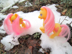 Spring Ponies #1 - Fluttershy and Sky Skimmer