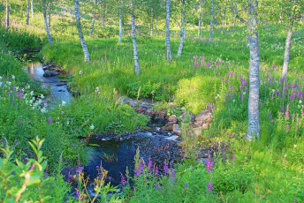 Creek Pyykkö