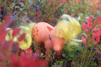 Applejack at fall