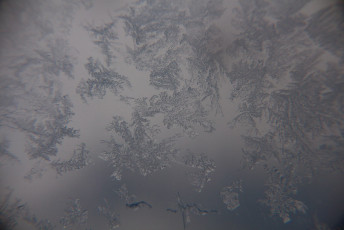Frost