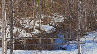 Bride over a creek