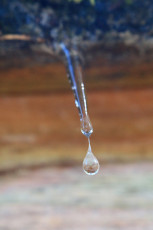 Dripping icicle