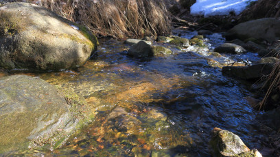 Spring creek