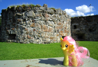 Fluttershy at the ruins