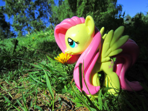 Fluttershy sniffing a flower