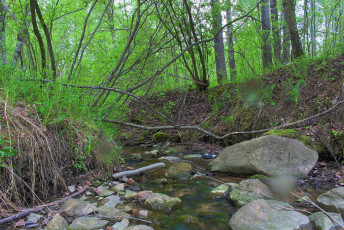 Creek