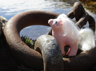 Baby Cotton Candy at the River #2