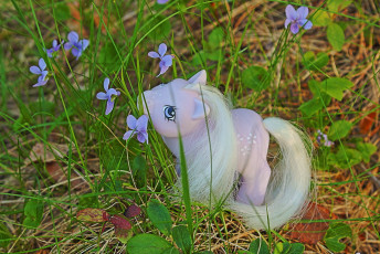 Baby Blossom