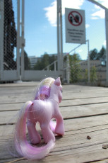 Fluttershy at the Gate of a Power Plant