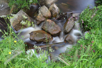 Small waterfall in the creek