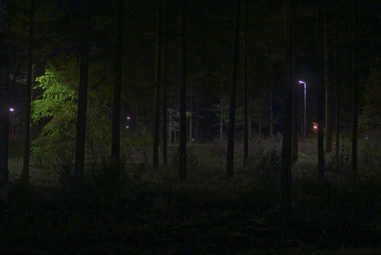 A Park at Night