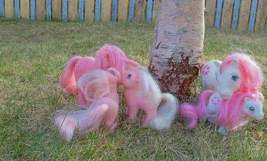 Mothers with Baby Ponies #1