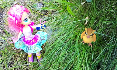 Fluttershy and Pidgey #1