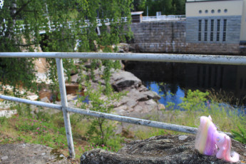 Fluttershy Looking at Kajaani's Ämmäkoski